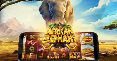 아프리칸 엘리펀트