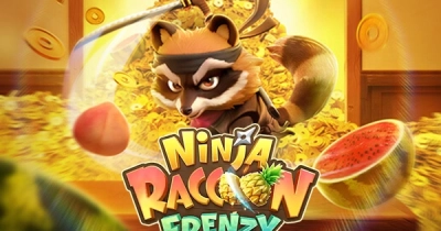 닌자 라쿤 프렌지