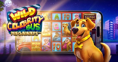 와일드 셀러브리티 버스 메가웨이즈