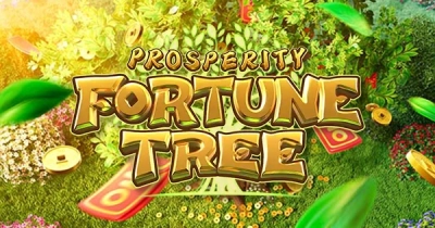 프라스페라티 포춘 트리