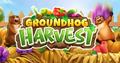 그라운드하그 하비스트