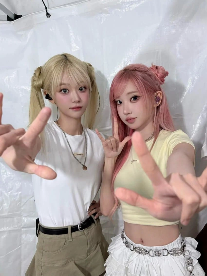 qwer 마젠타 쵸단