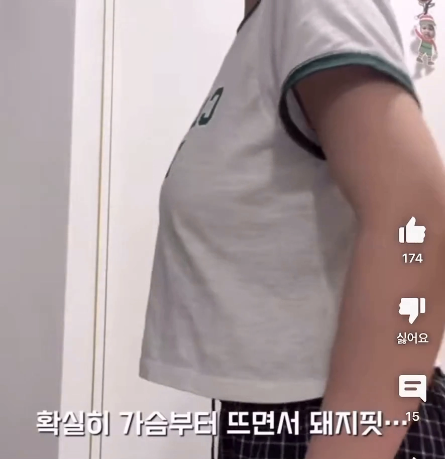 H컵이라 부해 보였던 거였음 안하랑 직접 인증한 피지컬